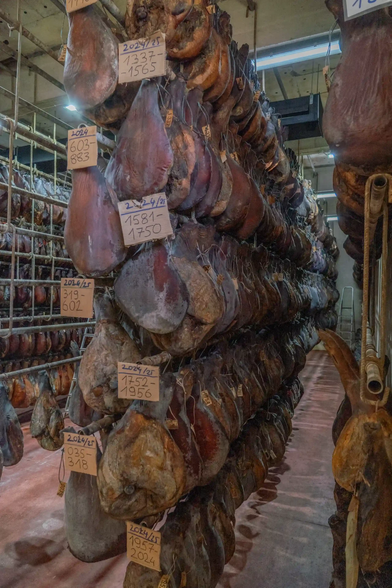 Detalj proizvodnog procesa u sušionici